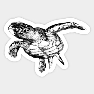 Seaturtle Sticker